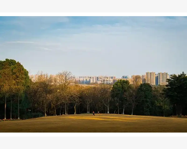 加拿大清肺祛痰 重拾健康，呼吸畅快！