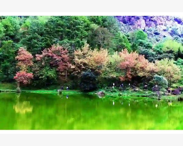 气血不足，探寻中医的智慧——呵护生命之源，健康养生指南